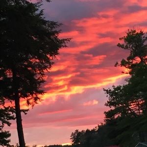 Meet your Posher, Kendall